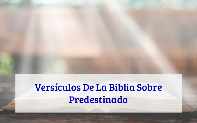 Versículos De La Biblia Sobre Predestinado