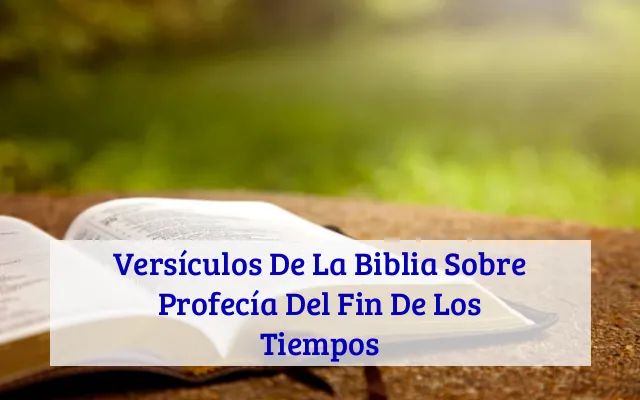 Versículos De La Biblia Sobre Profecía Del Fin De Los Tiempos