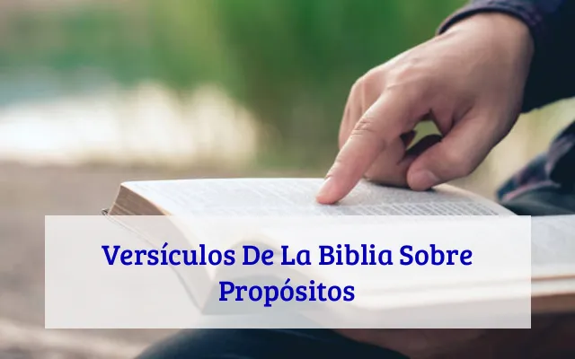 Versículos De La Biblia Sobre Propósitos