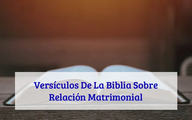 Versículos De La Biblia Sobre Relación Matrimonial