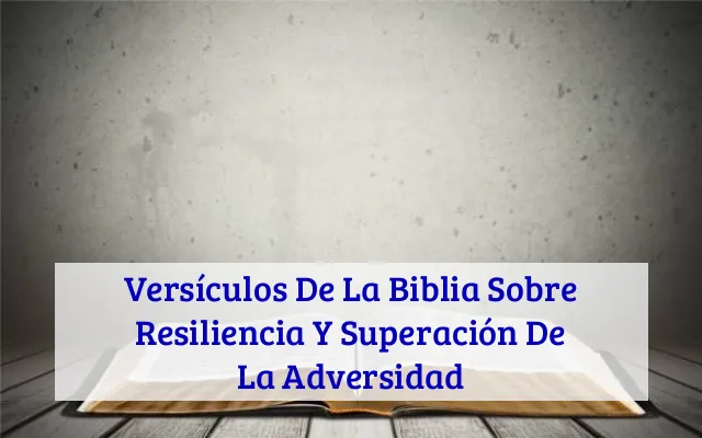 Versículos De La Biblia Sobre Resiliencia Y Superación De La Adversidad