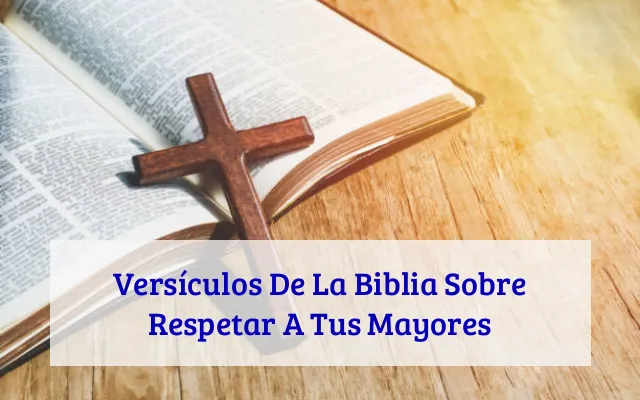 Versículos De La Biblia Sobre Respetar A Tus Mayores