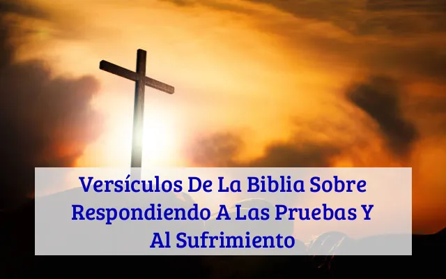 Versículos De La Biblia Sobre Respondiendo A Las Pruebas Y Al Sufrimiento