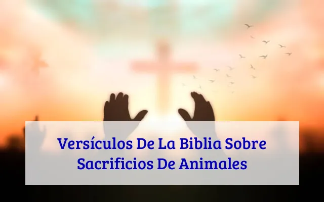 Versículos De La Biblia Sobre Sacrificios De Animales
