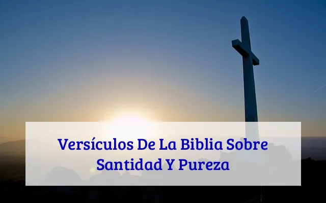 Versículos De La Biblia Sobre Santidad Y Pureza
