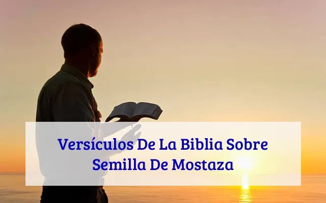 Versículos De La Biblia Sobre Semilla De Mostaza
