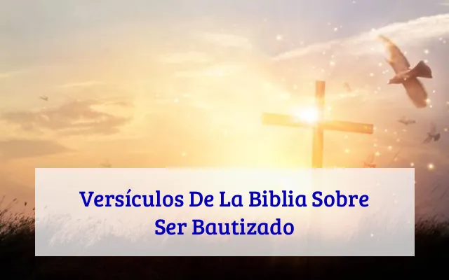 Versículos De La Biblia Sobre Ser Bautizado