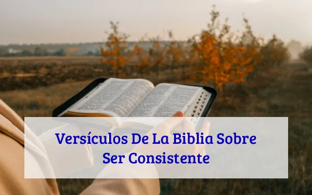 Versículos De La Biblia Sobre Ser Consistente