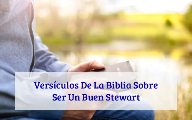 Versículos De La Biblia Sobre Ser Un Buen Stewart