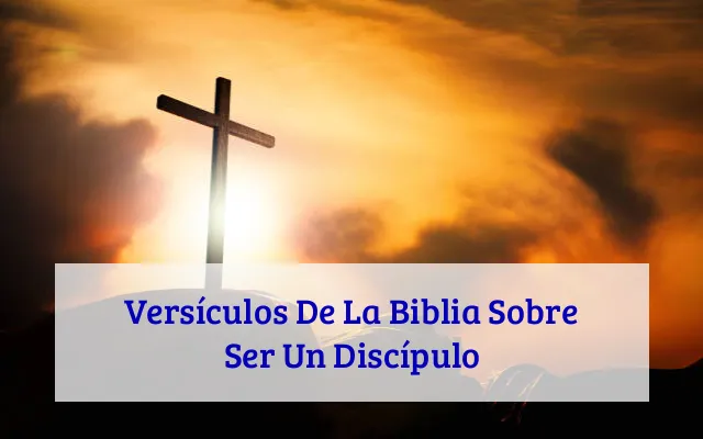 Versículos De La Biblia Sobre Ser Un Discípulo