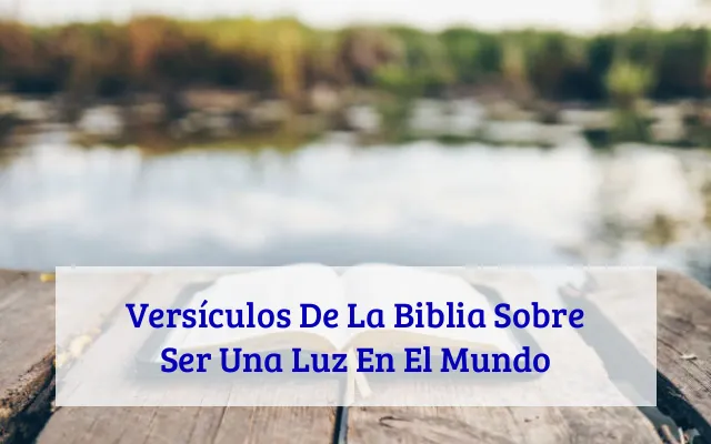 Versículos De La Biblia Sobre Ser Una Luz En El Mundo