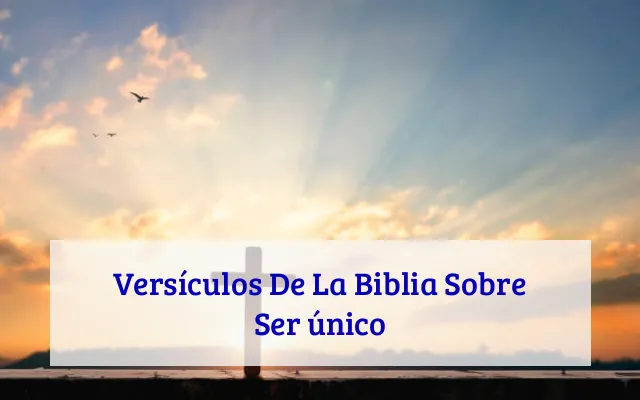 Versículos De La Biblia Sobre Ser único