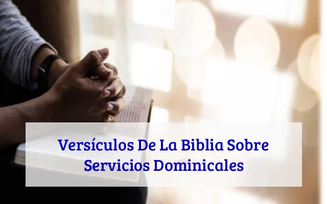 Versículos De La Biblia Sobre Servicios Dominicales