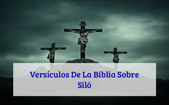 Versículos De La Biblia Sobre Siló