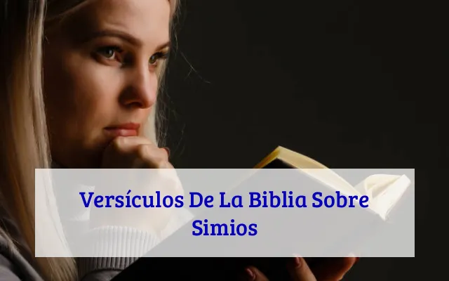 Versículos De La Biblia Sobre Simios