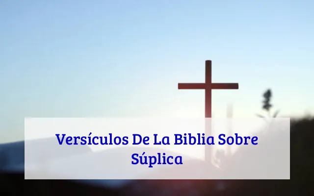 Versículos De La Biblia Sobre Súplica