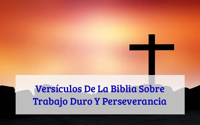 Versículos De La Biblia Sobre Trabajo Duro Y Perseverancia