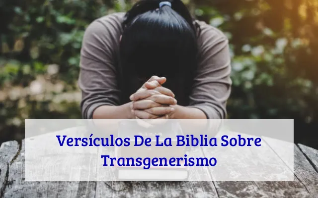 Versículos De La Biblia Sobre Transgenerismo