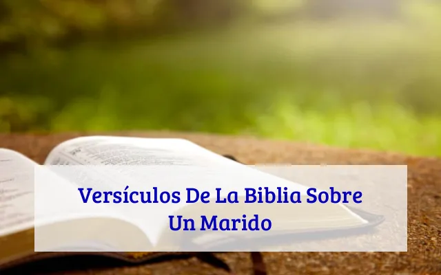 Versículos De La Biblia Sobre Un Marido