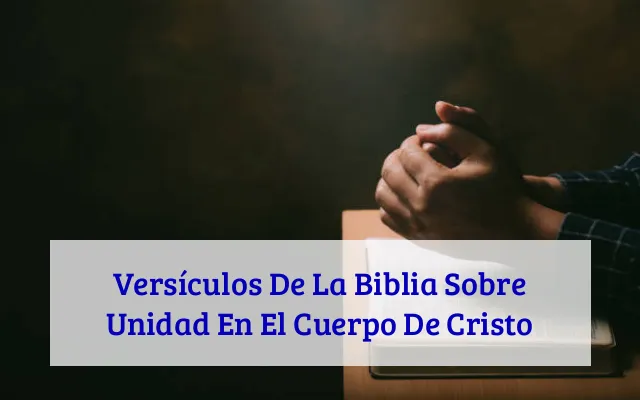 Versículos De La Biblia Sobre Unidad En El Cuerpo De Cristo