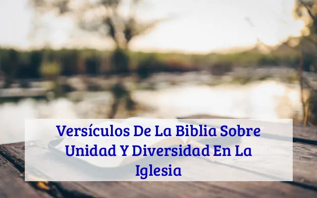 Versículos De La Biblia Sobre Unidad Y Diversidad En La Iglesia