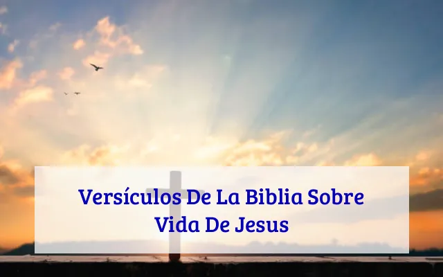 Versículos De La Biblia Sobre Vida De Jesus