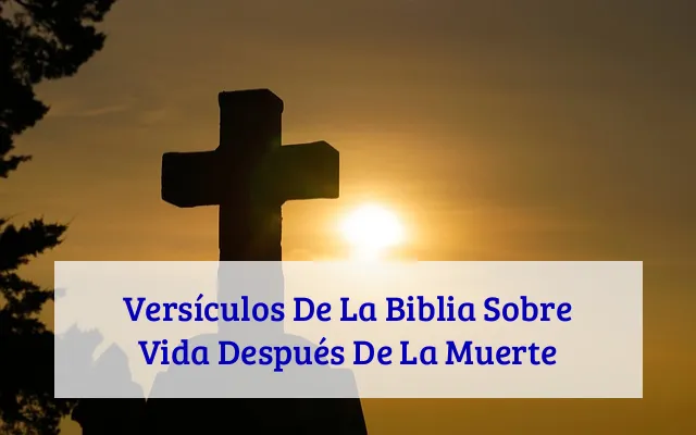 Versículos De La Biblia Sobre Vida Después De La Muerte