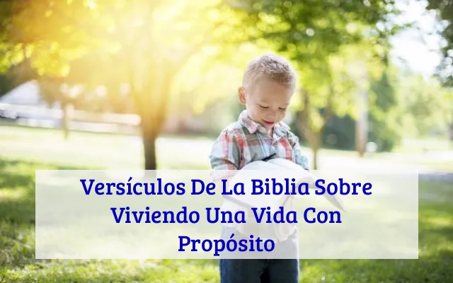 Versículos De La Biblia Sobre Viviendo Una Vida Con Propósito