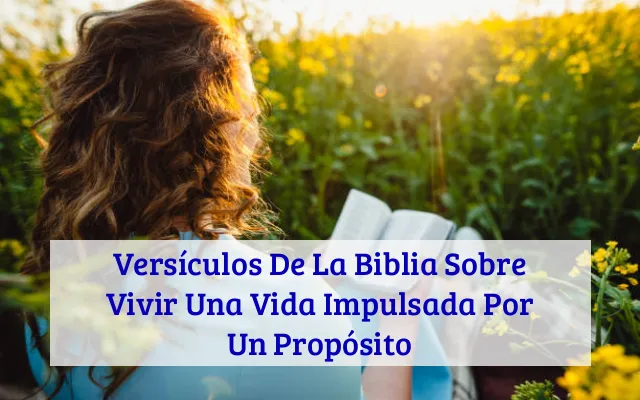 Versículos De La Biblia Sobre Vivir Una Vida Impulsada Por Un Propósito