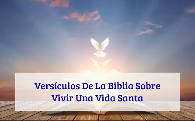 Versículos De La Biblia Sobre Vivir Una Vida Santa