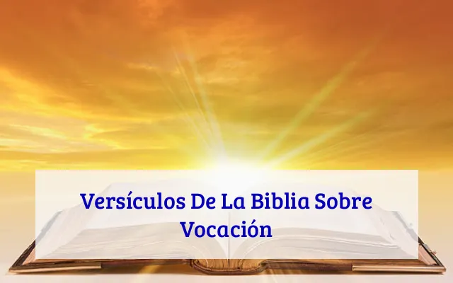 Versículos De La Biblia Sobre Vocación