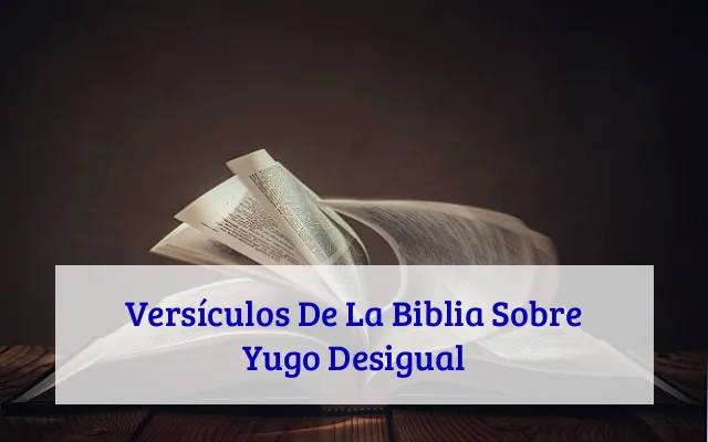 Versículos De La Biblia Sobre Yugo Desigual