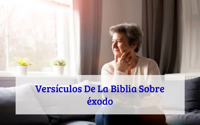 Versículos De La Biblia Sobre éxodo